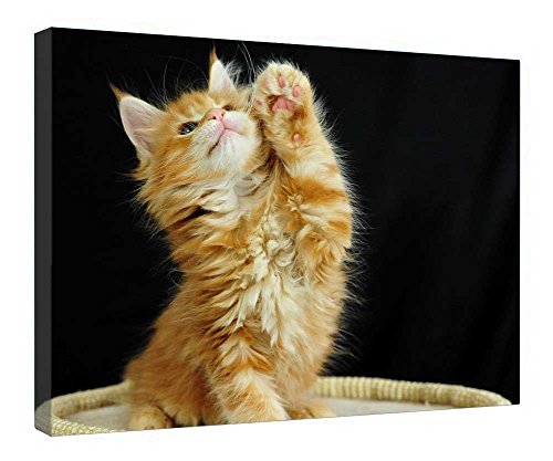 Impressions sur toile murale 40x50 cm avec cadre en bois Little Thing