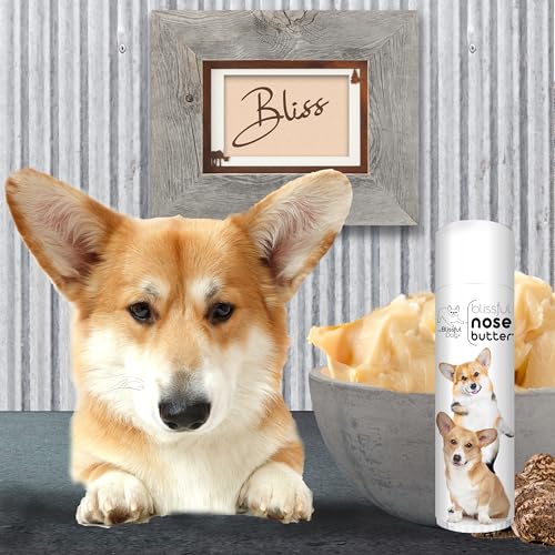 Image of The Blissful Dog Corgi Unscented Nose Butter, 0.50-Ounce