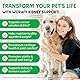 Dog Kidney Support Drops, 100% natürliche Harnwegsbehandlung für Hunde 60ml, unterstützt die Nierenfunktion und HWI Pflege Hund, Stärkung des Immunsystems