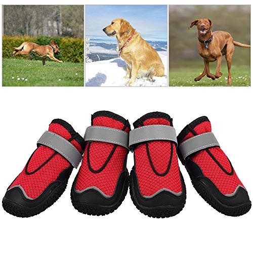 Simis Cani Riflettenti Boots Mesh, 4PCS Outdoor
