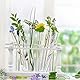 50 Stück Transparent Reagenzglas mit Korken, 4ml Kleine Reagenzgläser mit Korken 12x75mm, Reagenzgläser für Blumen, Geeignet für DIY Labor Heim Passend für Flüssigkeiten, Pflanzen und Gewürze