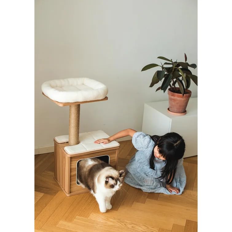 House of Meows Modern Small Cat tree Condo/Sturdy/Aesthetic/for All Types of Cats (B0CW9973DX) Amazon Price History, Amazon Price Tracker