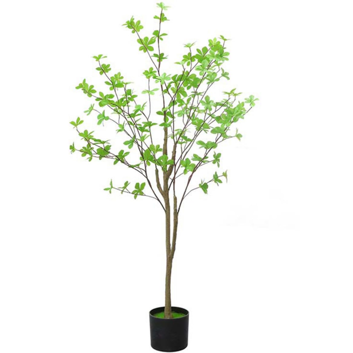 Amazon|HGJH 人工観葉植物 鉢植え ドウダンツツジ(人工 Amazon|HGJH 人工観葉植物 鉢植え ドウダンツツジ(人工