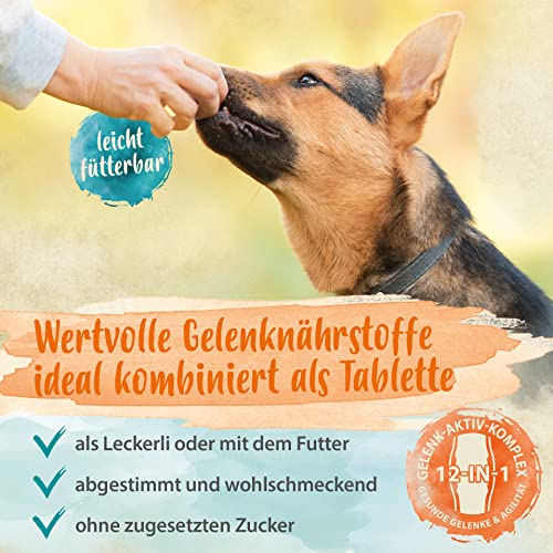 Ida Plus Gelenktabletten Plus - Gelenktabletten für Hunde - Mit Tierärzten entwickelt - Grünlippmuschel, MSM, Omega-3 & Teufelskralle unterstützen Hunde-Gelenke - Hohe Akzeptanz beim Hund - 120 Stück