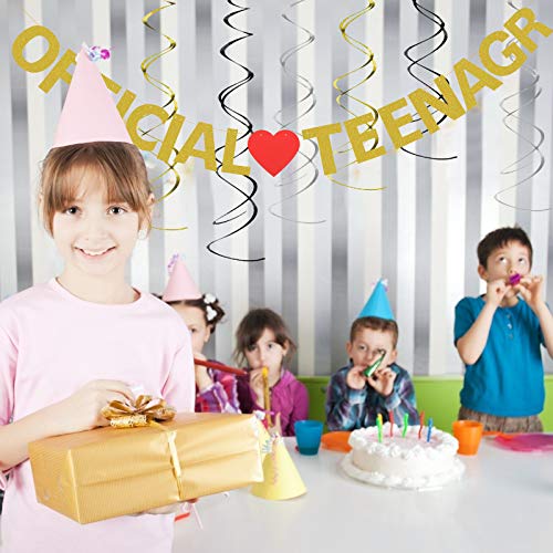 Official Teenager Banner, LANMOK 13th Happy Birthday Banner with 6pcs Glitter Ceiling Swirls Hanging Decor for 13th Birthday Party Supplies Ceremony Decorations