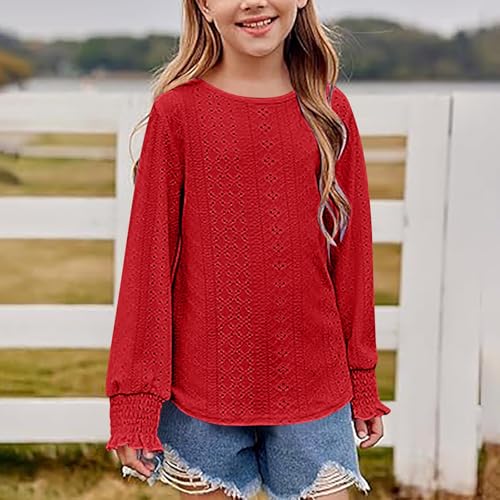 Girls Eyelet Long Sleeve Tops Dressy Casual Crewneck Hollow Out Crochet Lace Embroidered Shirts Blouses Fall Clothes 6-15T3