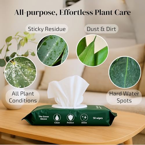 Feed & Clean Duo – Fertilizante Líquido y Toallitas miniatura 6