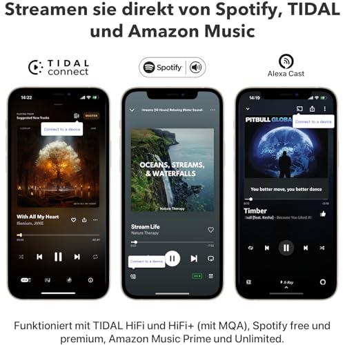 WiiM Mini AirPlay 2 Wireless Audio Streamer, Multiroom-Stereo, Vorverstärker, kompatibel mit Alexa- und Siri-Sprachassistenten, streamt Hi-Res-Audio von Amazon Music, Tidal und mehr – Bild 6