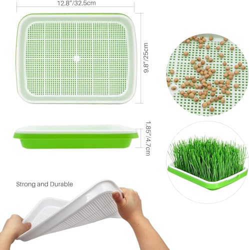 Image of Seed Sprouter Germination Tray with Drain Holes, Nursery Tray, 500ml Empty Spray Bottle, Germination Paper Soil-Free Wheatgrass Sprouting Growing Kit for Garden Home Office (Pack of 1)