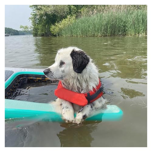 犬用プールスロープ 空気入り犬用エレベーター、黒青緑赤黄犬用水上スロープ、Dリング4個、3 D階段3個、ナイロンハンドル3個、ポンプ1個、滑り止め犬用埠頭負荷105kg(Green)