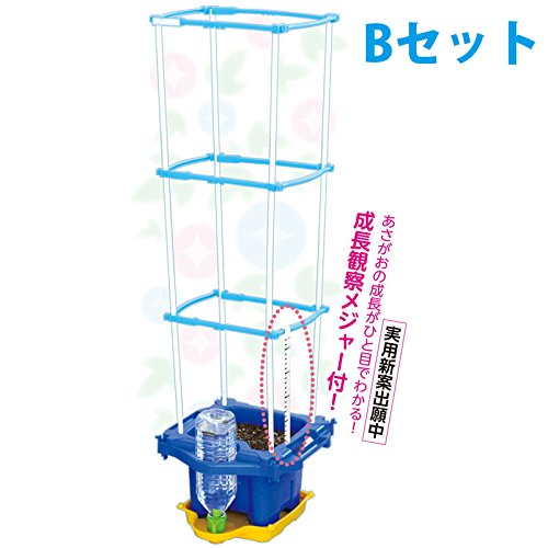 らうたげ　水・育B1・照（匠）　3本セット⭐︎新品未開封⭐︎ Amazon.co.jp: ﾏﾙﾁﾗｸﾗｸ給水あさがお支柱付Bｾｯﾄ : DIY・工具