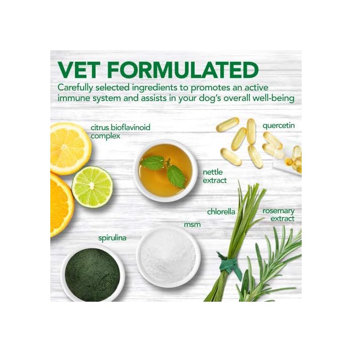 Vet's Best Immune Support Dog Supplement| Promotes Healthy Immune System & Seasonal Allergy Relief | 60 Chewable Tablets - Image 5