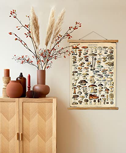 Vintage Mushroom Poster Hanger Frame, Retro Style Wall Art Prints, Printed On Linen With Natural Wooden Frames, Wall Hanging Decor #TOP1
