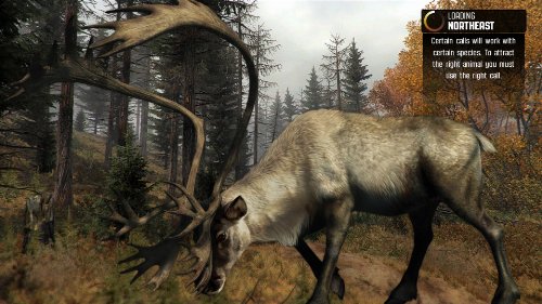Cabelas Big Game Hunter Pro Hunts for Wii U for Hunters 