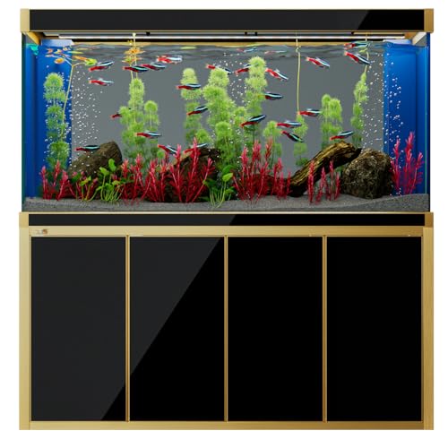 Aqua Dream 250 Gallon Aquarium Tempered Ultra-Clear Glass with Complete Setup in Black with Gold Trims