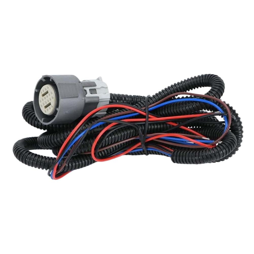 Controllore Stand Alone Per Conversione Cambio Compatibile Con 4L60E