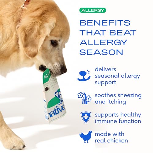 Native Pet Dog Allergy Chews - Dog Allergy Relief for Small Breeds - Supports Seasonal Itch Relief, Healthy Immune Function & Reduces Sneezing - Colostrum, Spirulina, & Probiotics - 30 Days Supply
