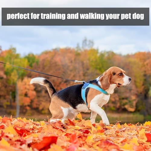 Partideal Schleppleine für Hunde, 5m Trainingsleine mit Handschlaufe und D-Karabiner, wasserdichte Ausbildungsleine für Mittlere und Kleine