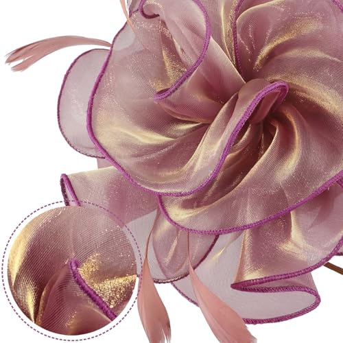 Image of DRESHOW Fascinators Hat Tea Party Headwear Ribbons Feathers on a Headband and a Clip for Women