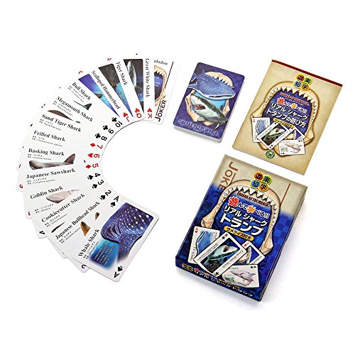 J[^ AV[N wKgv (T / 14 / NCYt/vX`bN) Aj}  mߋ gv Q[ } Mtg v[g