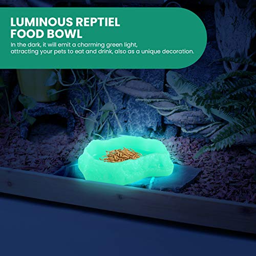 Reptile Food Water Rock Bowls - Luminous Amphibian Feeding Dish, Resin Rock Worm Feeder Terrarium for Lizards, Chameleon… - Image 3