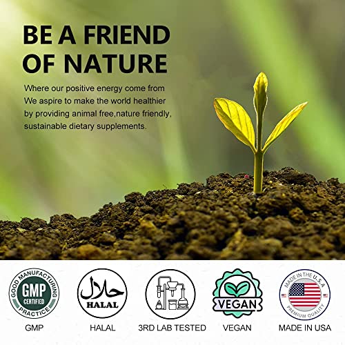 Keto Diet Pills Plus Apple Cider Vinegar - Exogenous Ketones Supplement For Women Men - Utilize Fat For Energy With Ketosis Boost Energy & Focus, Manage Cravings, Metabolism Support -180Caps #TOP5