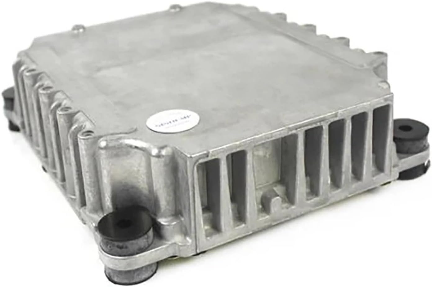 蓬春寺法谷書付 滝川恵美子 猛虎写 志野茶碗 共箱