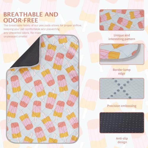 Image of IEUUMLER Washable Pee Pads for Dogs, 2 Pack Non-Slip & Waterproof Pack Whelping Pad, Reusable Puppy Potty Training Pad with Fast Absorbent for Playpen EU007 (Grey Ice Pop, 24 inchX18 inch-2pcs)