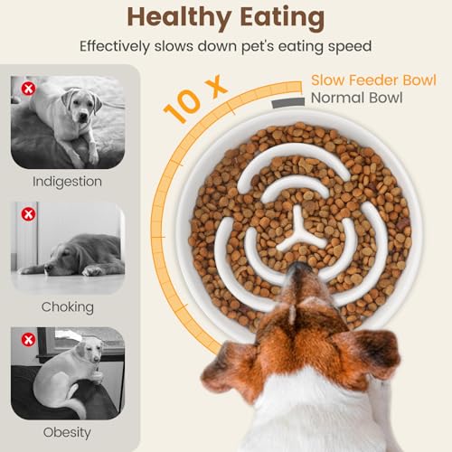 PETTOM Antischlingnapf Hunde Keramik, Anti Schling Napf Hund Ø 21cm, Schlingnapf Hunde Groß Nassfutter, Slow Feeder Hundenapf für Große und Kleine Hund