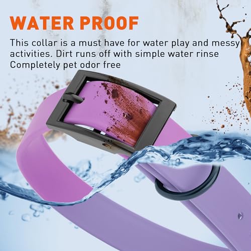 Image of Dogline Biothane Waterproof Dog Collar Strong Coated Nylon Webbing with Black Hardware Odor- Proof for Easy Care Easy to Clean High Performance Fits Small Medium or Large Dogs, Amethyst Purple