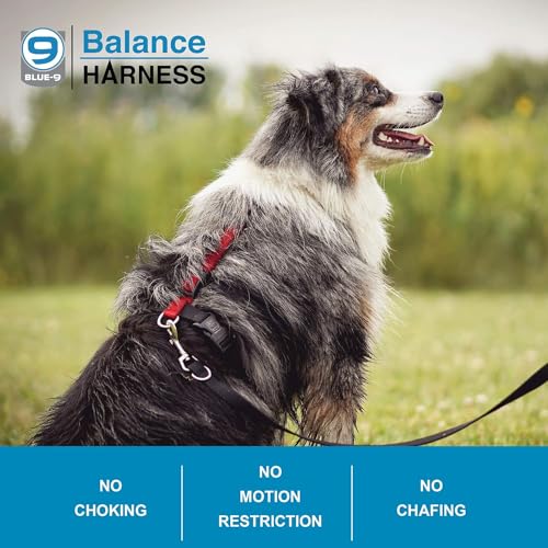Blue-9 Buckle-Neck Balance Harness, Fully Customizable Fit No-Pull Harness, Ideal for Dog Training and Obedience, Made in The USA, Blue, Medium - Thumbnail 3