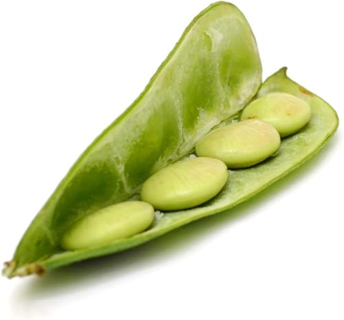 Miniatura 3 de King of The Garden - Semillas de frijol Lima para plantar, frijol de poste, más de 25 semillas tradicionales por paquete, semillas de jardín de Isla