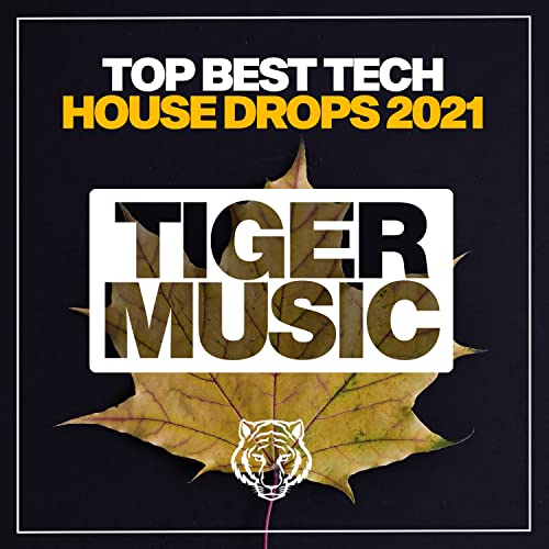  Electronic Tech (Original Mix)