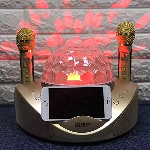 Altavoz Bluetooth inalámbrico LLD SD-308 con micrófonos duales para cantar sin cables 2