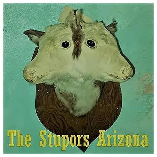 Downtown Phoenix Music Scene in 2008 [Explicit]