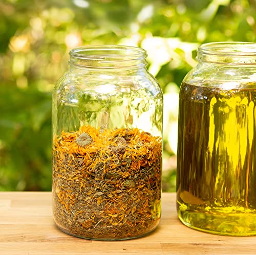 Soothing Natural Vanilla Lip Balm, Beeswax Lip Balm, Calendula Lip Balm, Dry Cracked Lips, Perioral Dermatitis, Organic Coconut Oil No Synthetic Fragrance Made In Usa Ora's Amazing Herbal Unsweetened Lip Balm, Ora's Amazing Herbal #TOP5