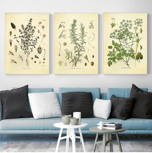 Affiche de cuisine herbes aromatiques vintage 50x70 cm lot de 3 toiles