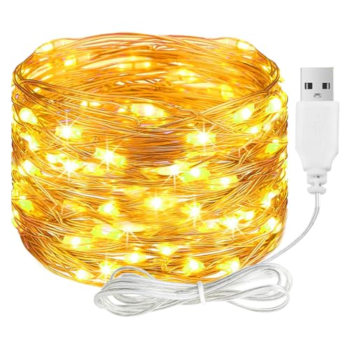 ALEGRE LED Lichterkette mit USB,5M 50 LED Kupferdraht Lichterkette mit Stecker,Wasserdicht Warmweiß Lichterketten Innen Außen, Lichterketten LED für DIY Hochzeit Deko,Weihnachten, Balkon, Schlafzimmer ALEGRE LED Lichterkette mit USB,5M 50 LED Kupferdraht Lichterkette mit Stecker,Wasserdicht Warmweiß Lichterketten Innen Außen, Lichterketten LED für DIY Hochzeit Deko,Weihnachten, Balkon, Schlafzimmer