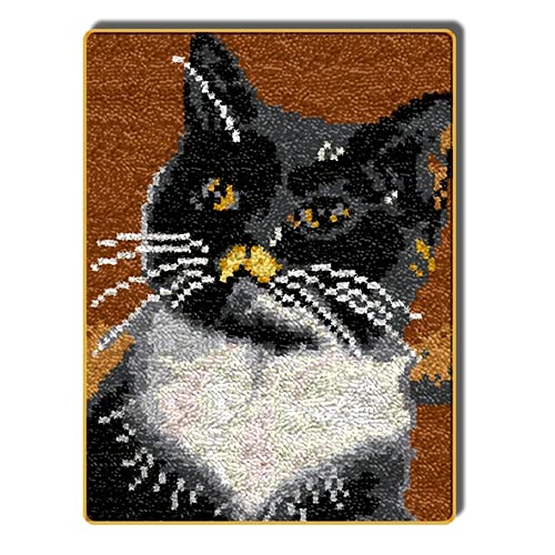 Kit de ganchillo para principiantes con diseño de gato, el regalo creativo ideal