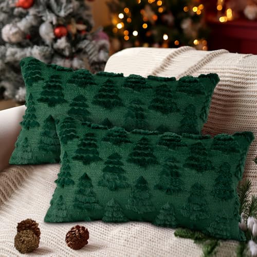 Lanpn 2 Stück 30x50cm Kissenbezüge Weihnachten, Weihnachtsdeko...