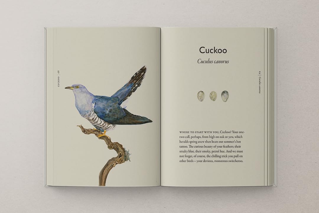 The Book of Birds: The #1 Sunday Times bestseller from the authors of award-winning phenomenon The Lost Words