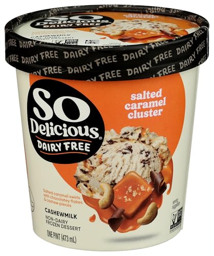 So Delicious Dairy Free Cashew Milk Frozen Dessert, Salted Caramel Cluster, Vegan, Non-GMO Project Verified, 1 Pint