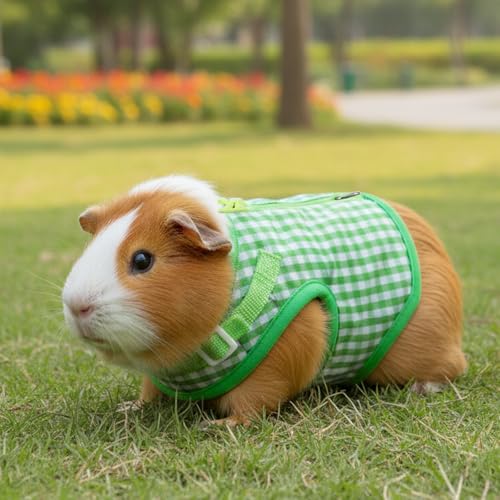 Image of Guinea Pig Harness and Leash, Adjustable Guinea Pig Harness | Elastic Guineas Pigs Leash and Harnes, Ideal for Pet Hamster Squirrel Animals, Safe Pet Supervision, Green Plaid