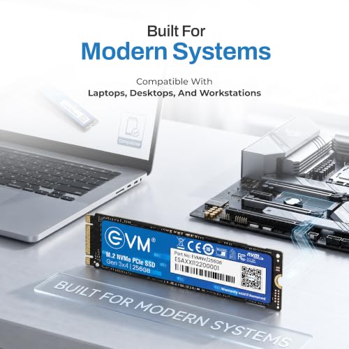 EVM Store EVM 256GB NVMe Gen 3x4 Internal SSD (2280) - Image 7