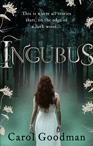Incubus view 2