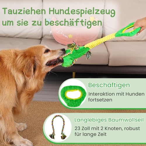 WinTour Hundespielzeug, Süßes Quietschendes Hundespielzeug mit Crinkle-Papier, Tauziehen, um sie zu Beschäftigen, Gefüllte Hundekauspielzeug für Kleine, Mittlere, Große Hunde