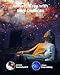POCOCO Galaxy Star Projector for Bedroom with Replaceable Optical Film Discs, Home Planetarium Night Light Projector with High-Definition Soft Light for Relax, Study, and Meditate, Stress Relief Gifts