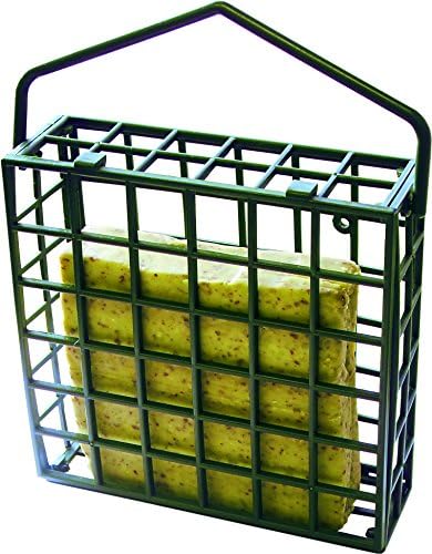 Green Jem Plastic Dual Suet/Scraps Wild Bird Feeder, Easy to Fill and Clean, Attracts Many Species of Garden Birds.
