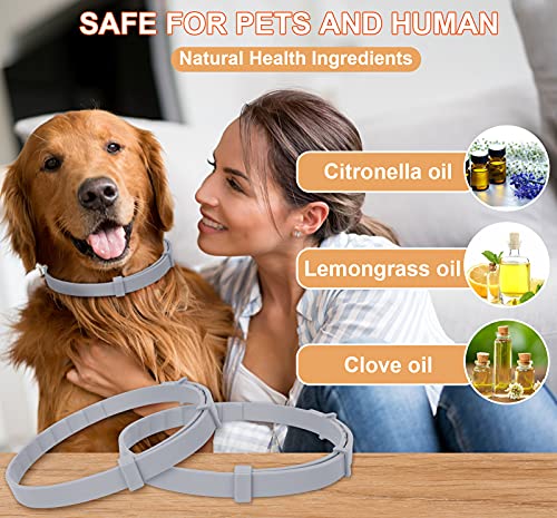 2 Pack Flea and Tick Prevention for Dogs Purple, Prevention, Treatment of Flea & Tick for 8 Months, Natural Ingredients Dog Flea Collars, Waterproof, Free Comb, 25 inches - Image 4