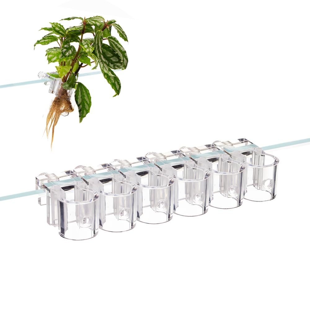 6 Portapiante Per Acquario Trasparenti – Supporti A Ventosa In PC, Per Vetri Fino A 1,5 Cm